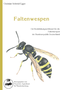 Faltenwespen