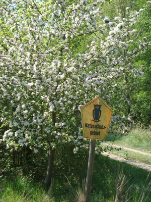 NSG-Schaal-Kopie