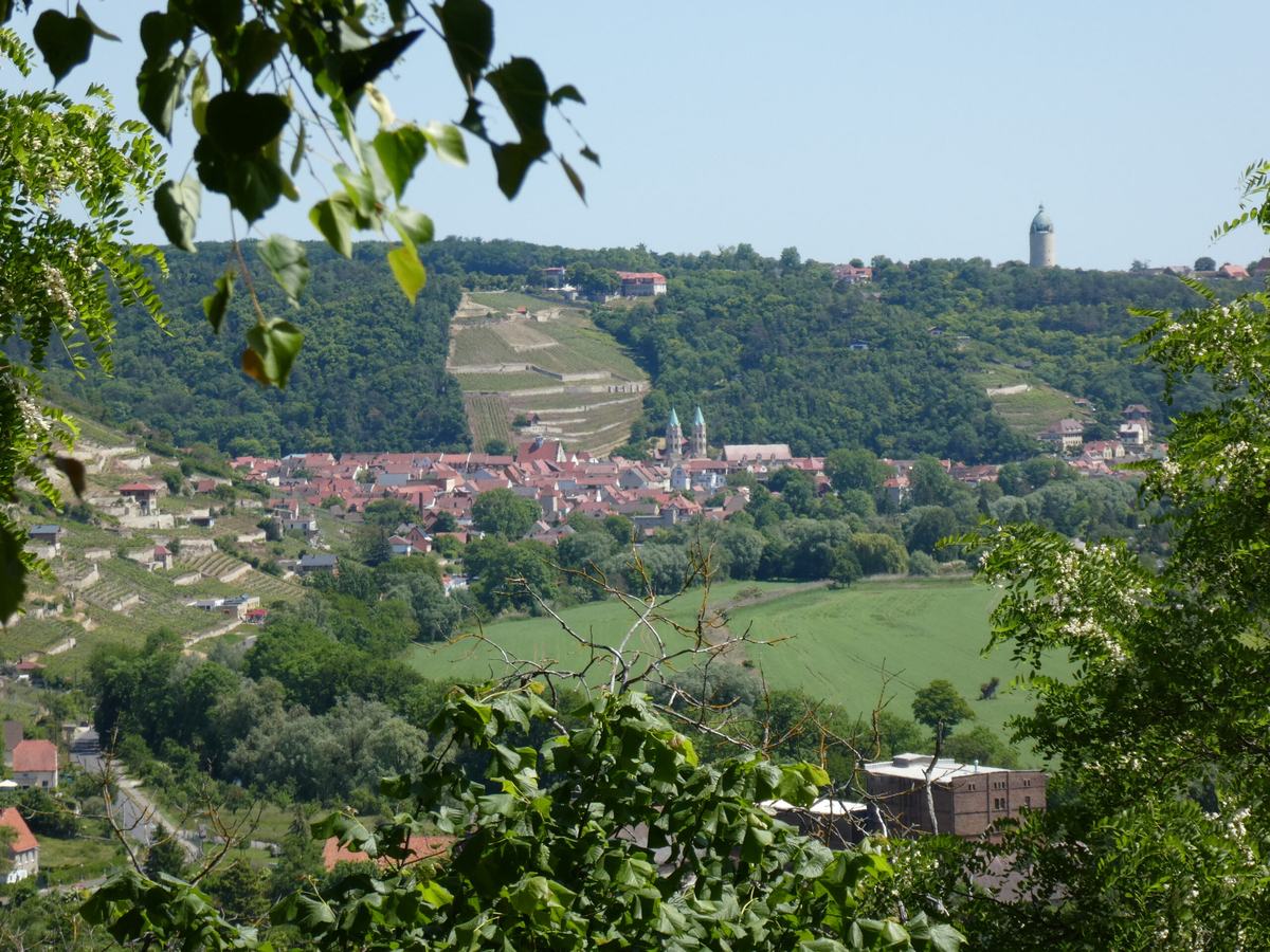 P1030601