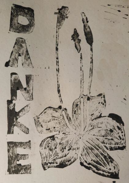 Danke! (Plantago Media)