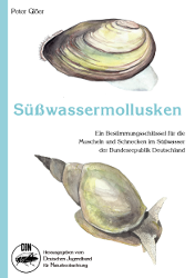 Süßwassermollusken