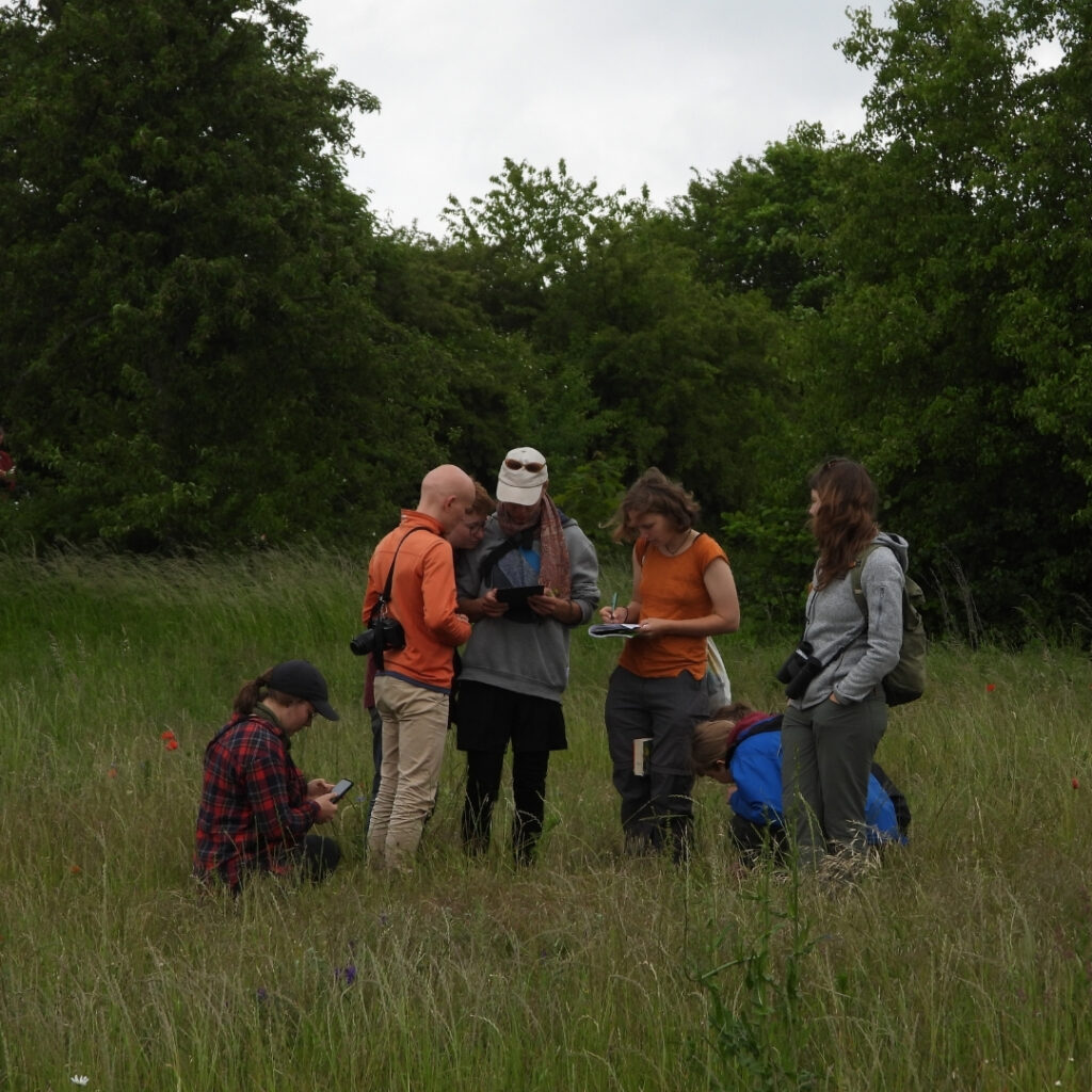 Eine Gruppe von DJNies beim Naturkundeln Copyright by .