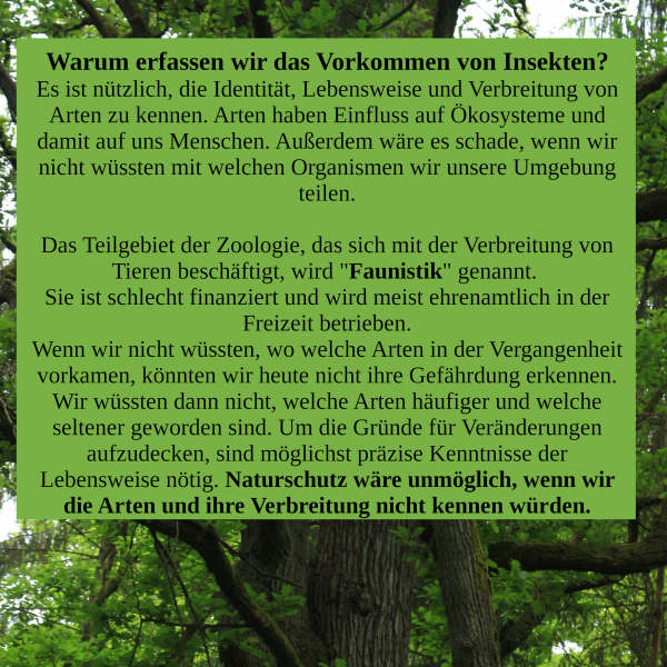  Copyright by Jakob Jilg.