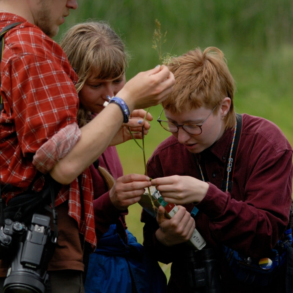 DJNies beim Naturkundeln Copyright by .