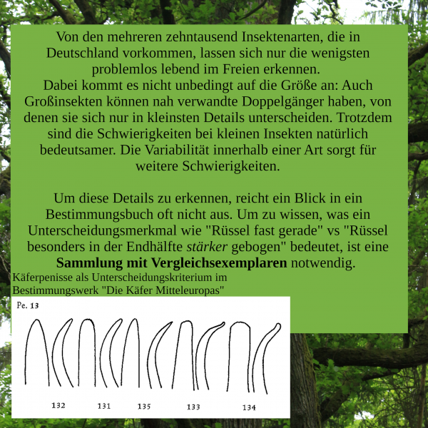  Copyright by Jakob Jilg.