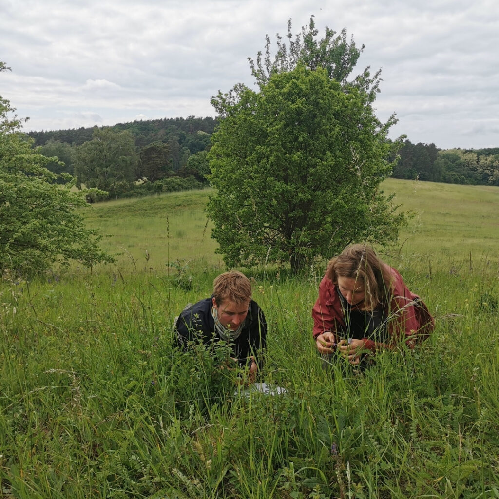 Zwei DJNies beim Naturkundeln Copyright by .