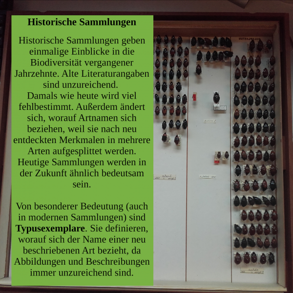  Copyright by Jakob Jilg.