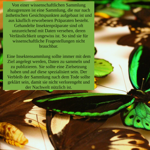  Copyright by Jakob Jilg.